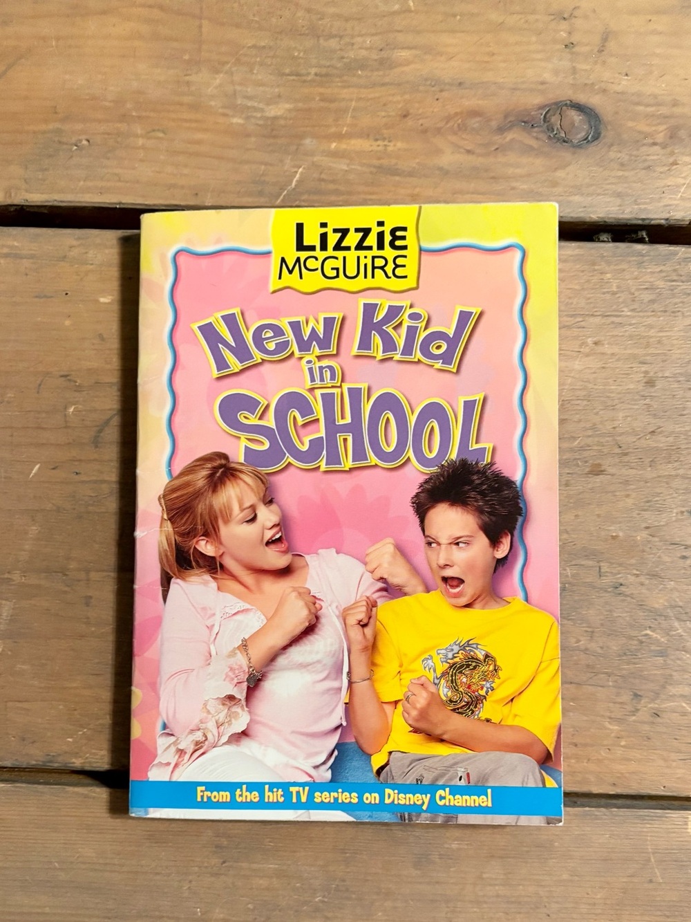 Lizzy McGuire New Kid in School Book